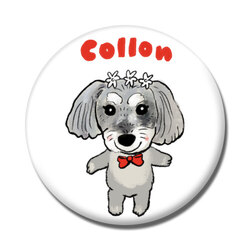 COLLON