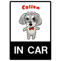 COLLON