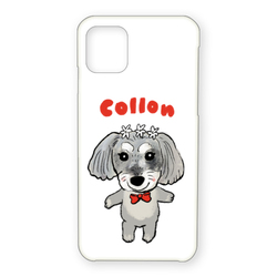COLLON