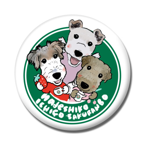 nadeshiko ichigo sakuranbo