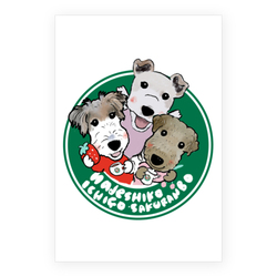 nadeshiko ichigo sakuranbo