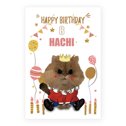 HACHI