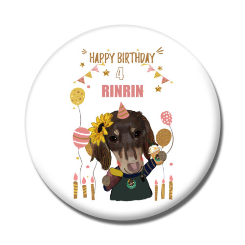RINRIN
