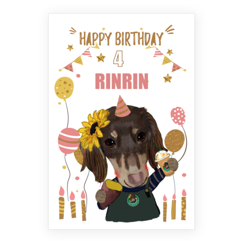 RINRIN